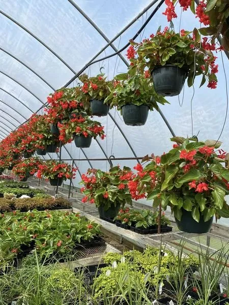 Trusted landscape installation with custom design across Glasgow, KY - Green Leaf Nursery