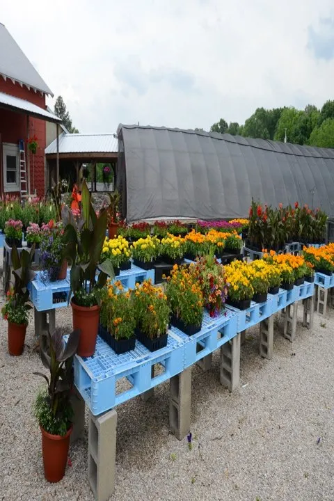 Expert lawn care service experts serving Glasgow, KY - Green Leaf Nursery