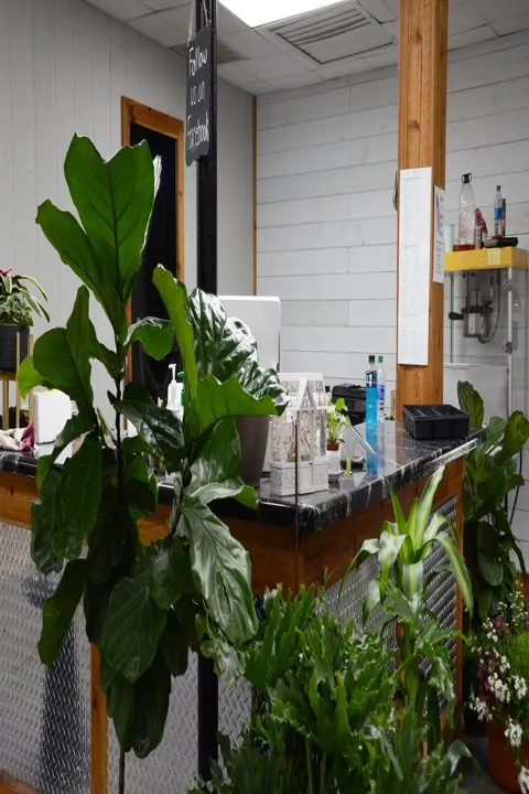 Trusted outdoor landscaping for homes across Glasgow, KY - Green Leaf Nursery