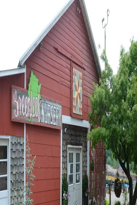 Custom landscaping services with custom design in Glasgow, KY by Green Leaf Nursery