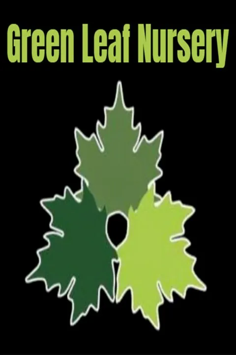 Affordable landscaping services for beautiful yards across Glasgow, KY - Green Leaf Nursery