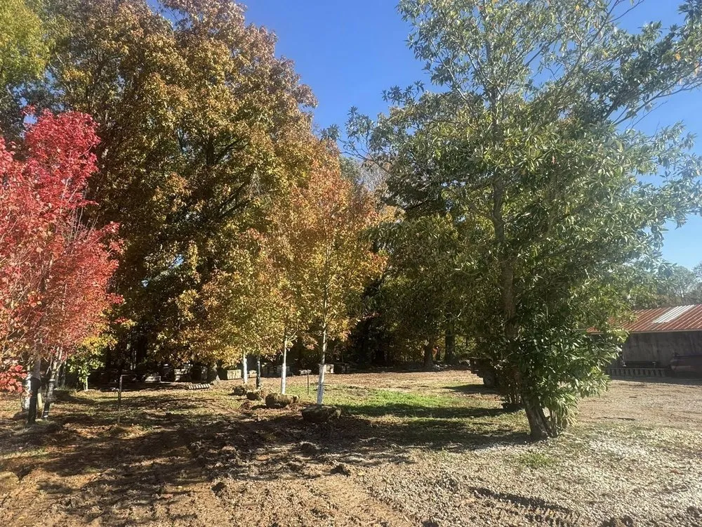 Trusted outdoor landscaping for homes in Glasgow, KY by Green Leaf Nursery