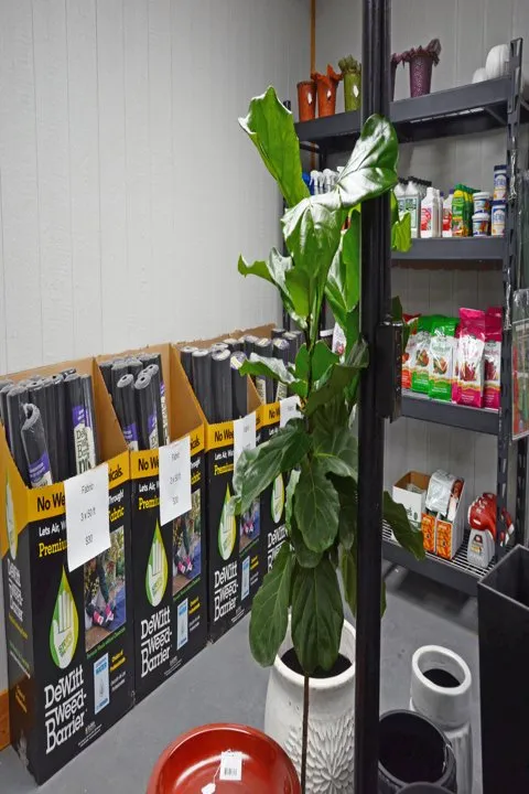 Trusted garden landscaping for year-round maintenance across Glasgow, KY - Green Leaf Nursery