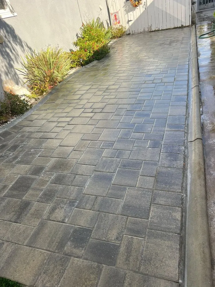 Expert yard maintenance near you across Colton, CA - Green Leaf Remodeling