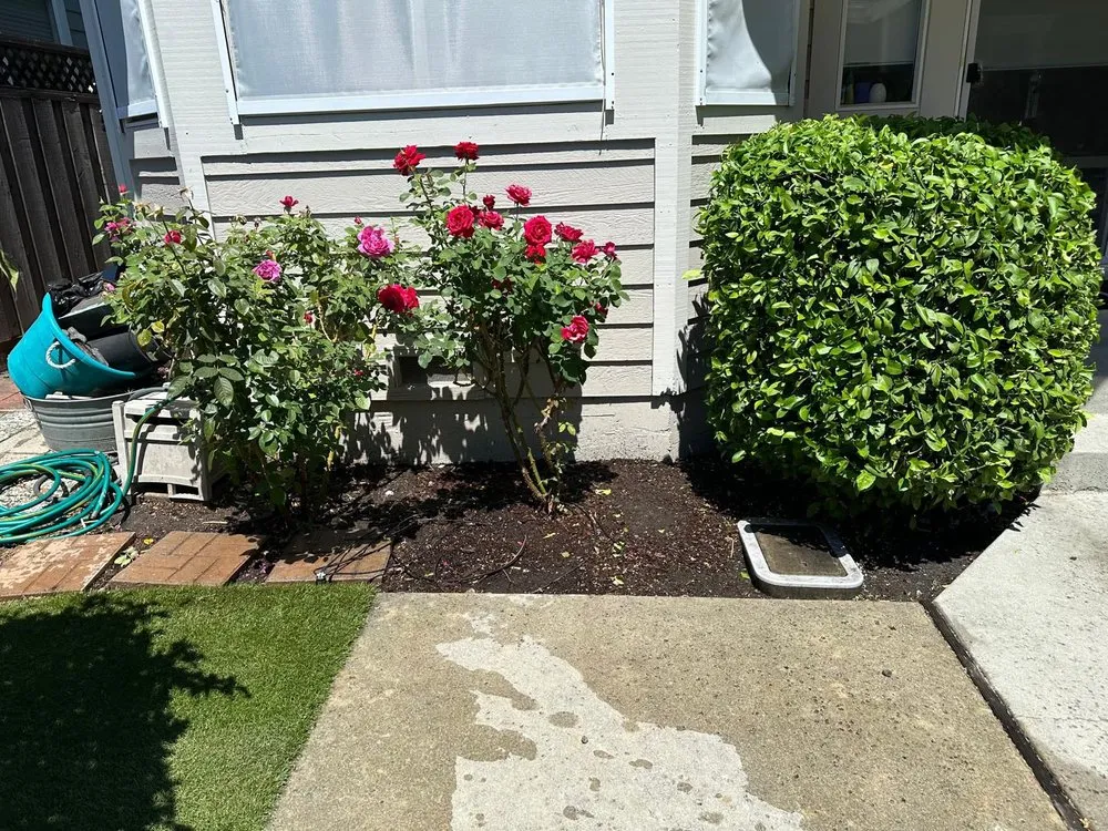 Professional garden landscaping experts serving San Mateo, CA - Green Leaf