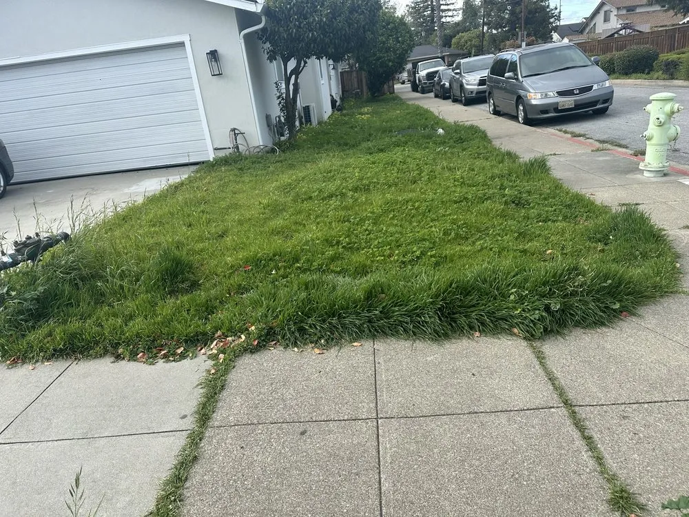 Reliable residential landscaping for outdoor upgrades in San Mateo, CA by Green Leaf