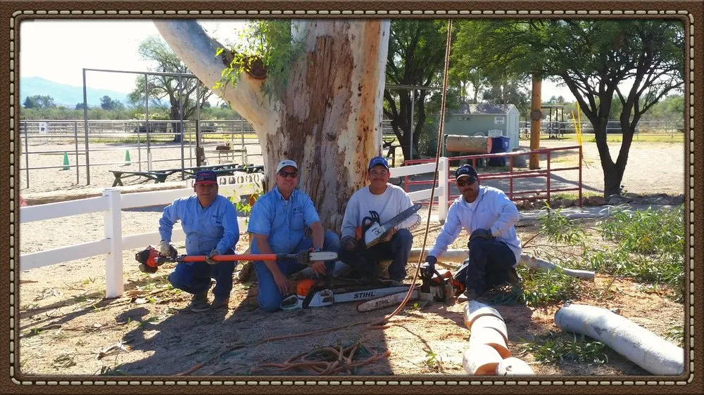 Expert residential landscaping experts serving Tucson, AZ - Green Leaf Solutions