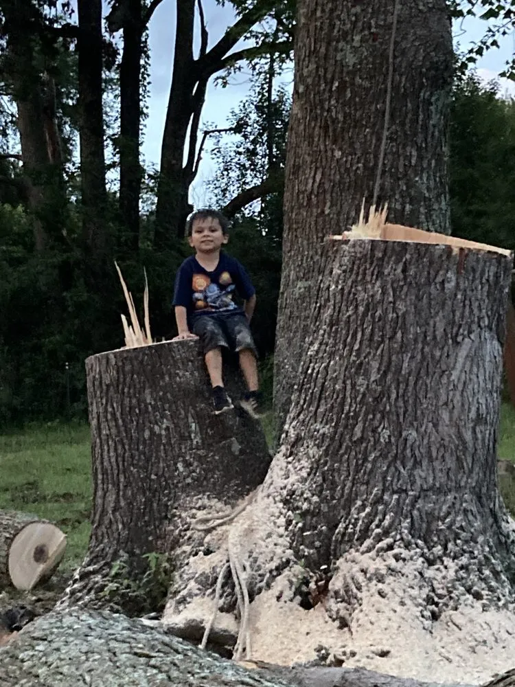 Top-rated landscaping services in Dickson, TN - Green Leaf Tree Care