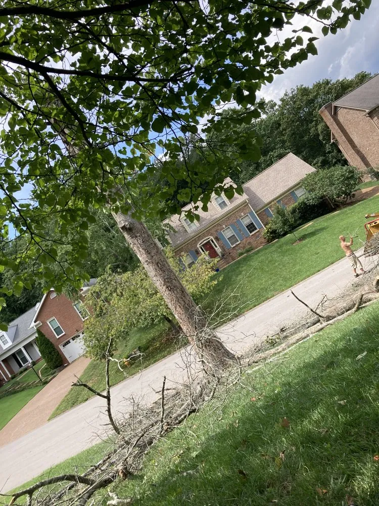 Reliable outdoor landscaping for residential properties in Dickson, TN by Green Leaf Tree Care