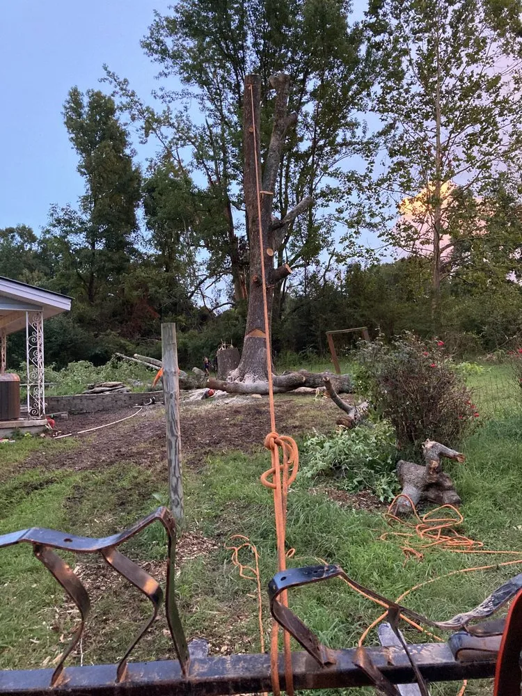 Local lawn mowing service experts serving Dickson, TN - Green Leaf Tree Care