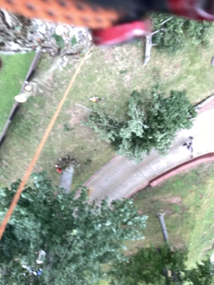 Professional garden landscaping for residential properties in Dickson, TN by Green Leaf Tree Care