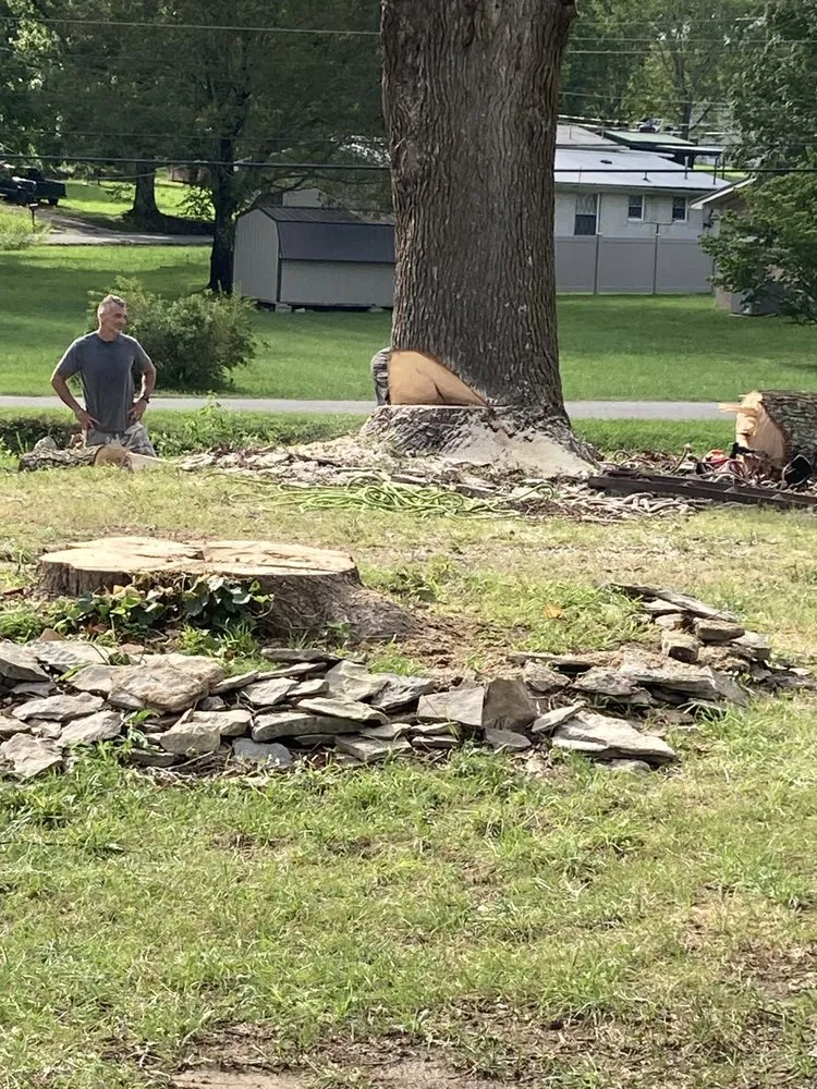 Reliable yard maintenance experts serving Dickson, TN - Green Leaf Tree Care