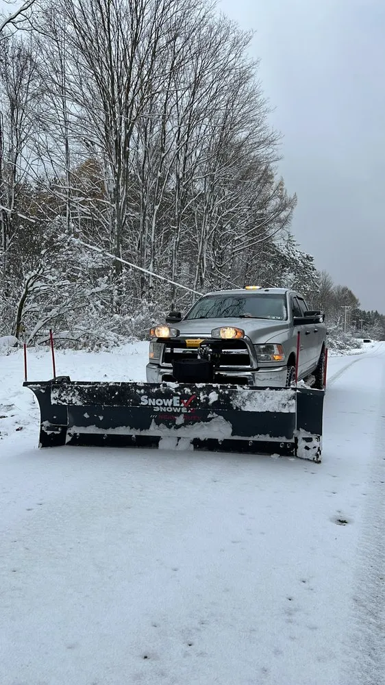 Custom yard cleanup service experts serving North East, PA - Green Leaf Tree Care