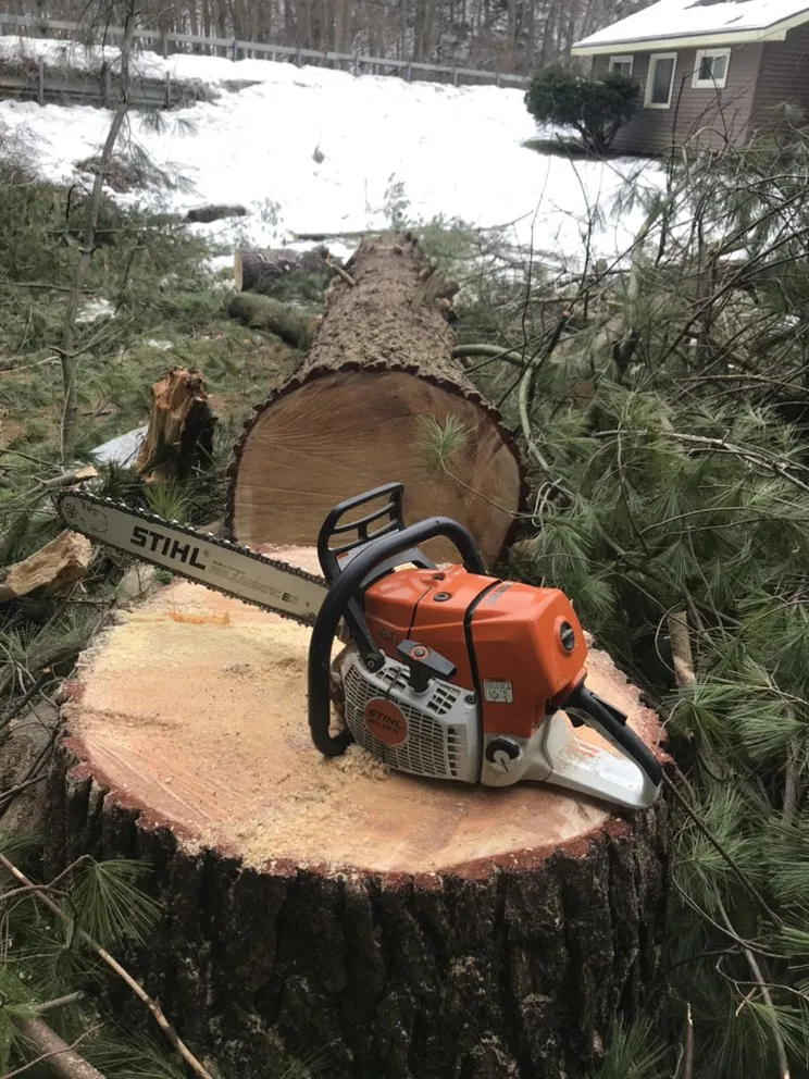 Top-rated landscape design in North East, PA by Green Leaf Tree Care