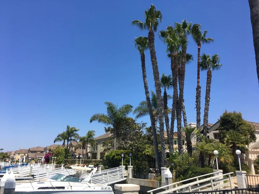 Professional lawn mowing service experts serving San Diego, CA - Green Leaf Tree Care