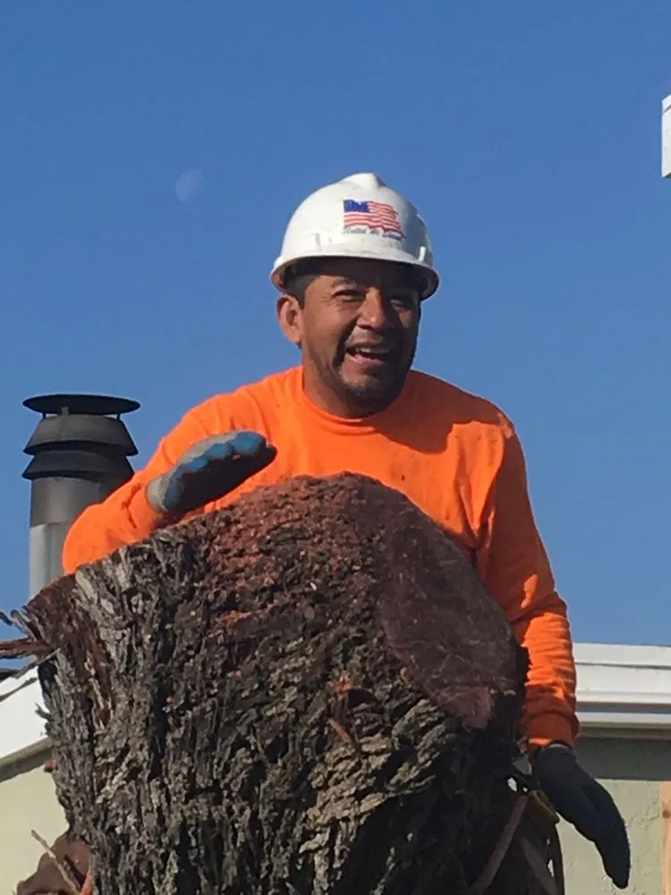 Top-rated landscape design for beautiful yards in San Diego, CA by Green Leaf Tree Care