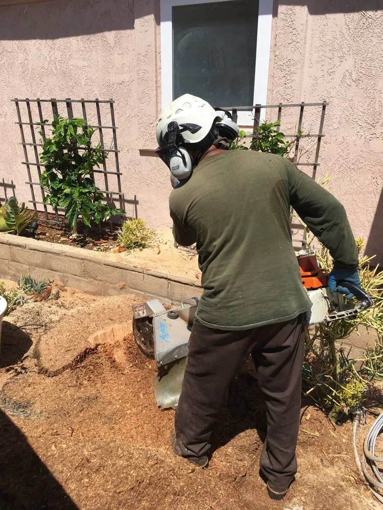 Reliable lawn mowing service in San Diego, CA by Green Leaf Tree Care