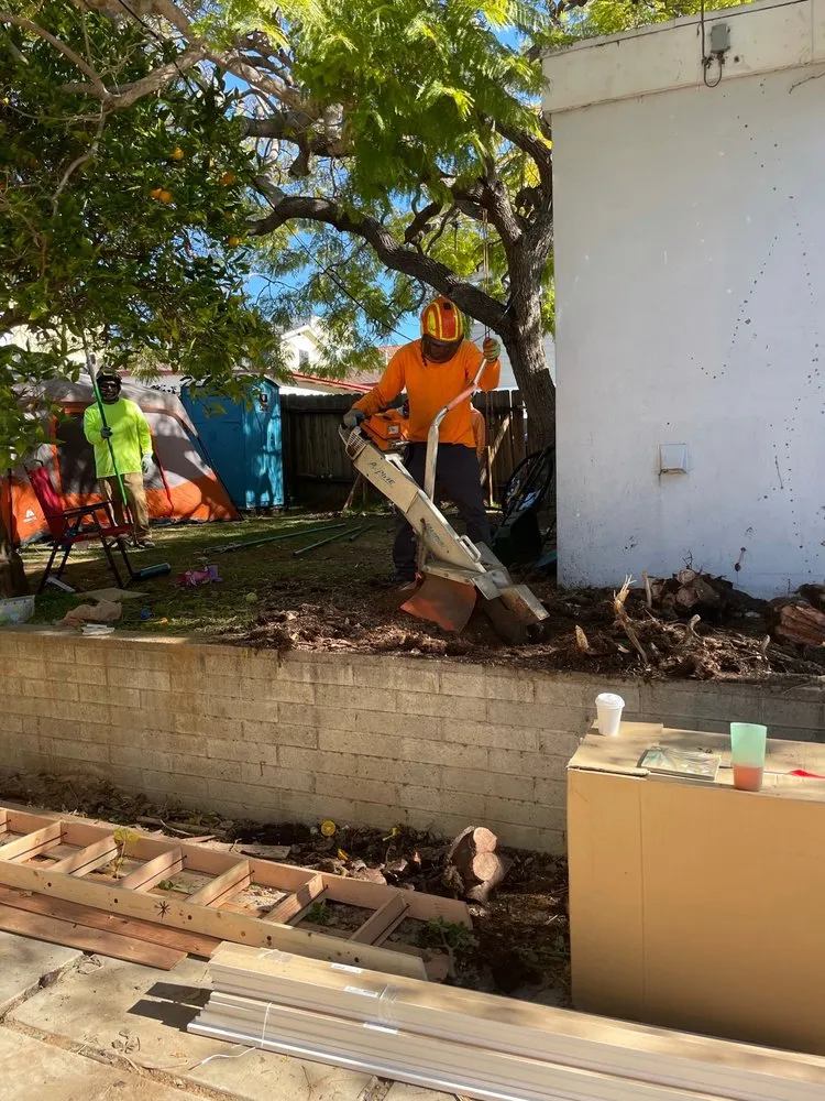 Affordable lawn care service experts serving San Diego, CA - Green Leaf Tree Care