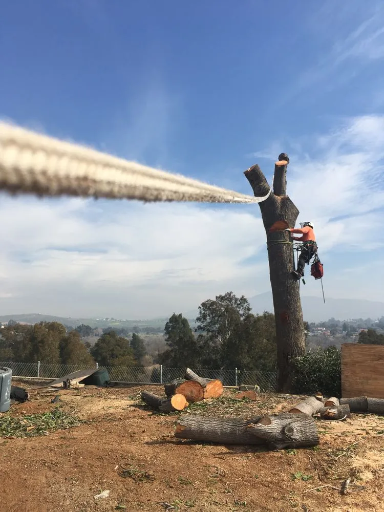 Reliable garden landscaping in San Diego, CA by Green Leaf Tree Care