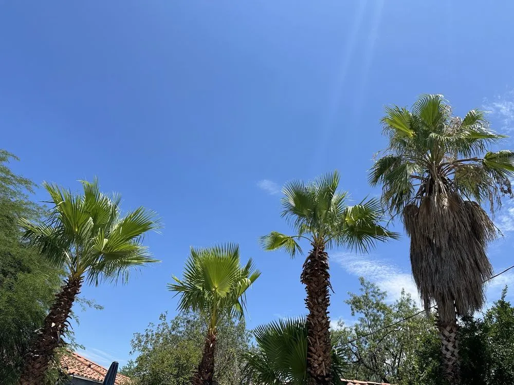 Reliable outdoor landscaping with custom design across Tucson, AZ - Green Leaf Tree Service