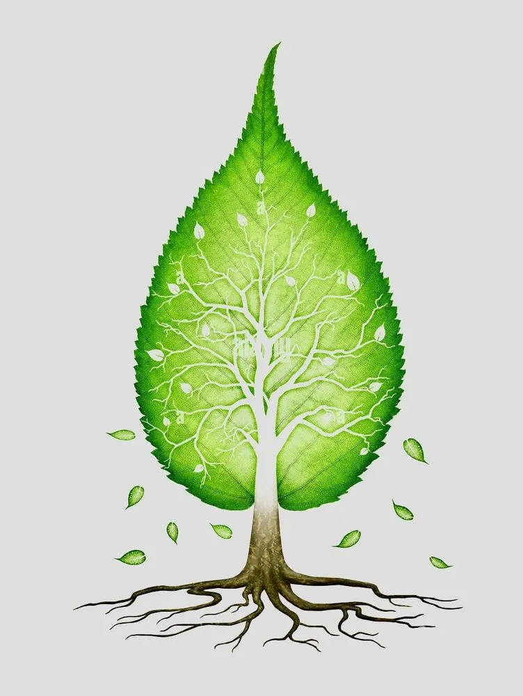 Custom lawn mowing service in Tucson, AZ - Green Leaf Tree Service