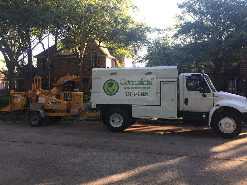 Top-rated landscaping services in Katy, TX by Green Leaf Tree Services