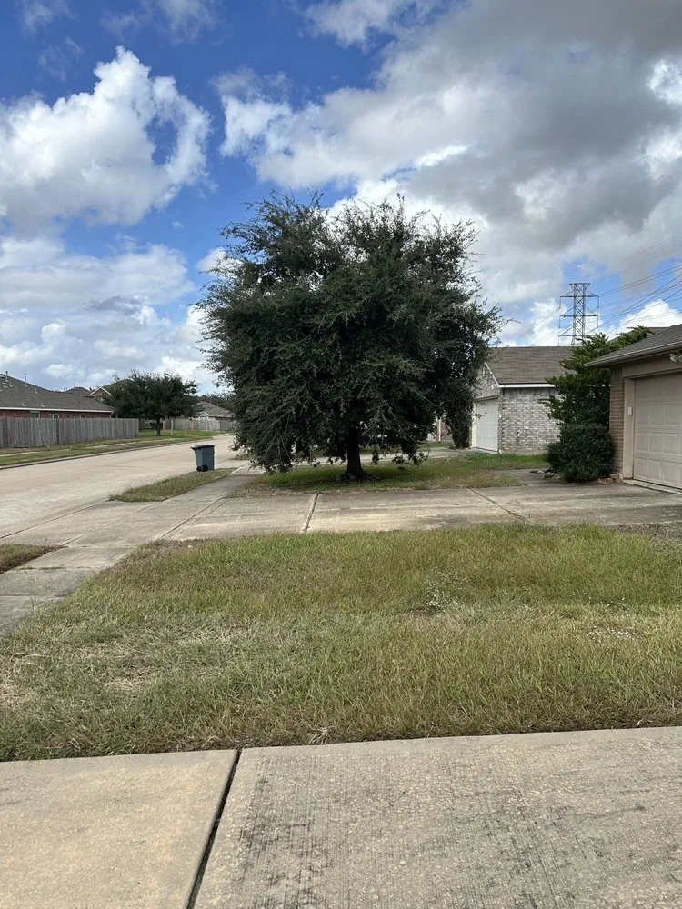 Trusted lawn mowing service in Katy, TX by Green Leaf Tree Services