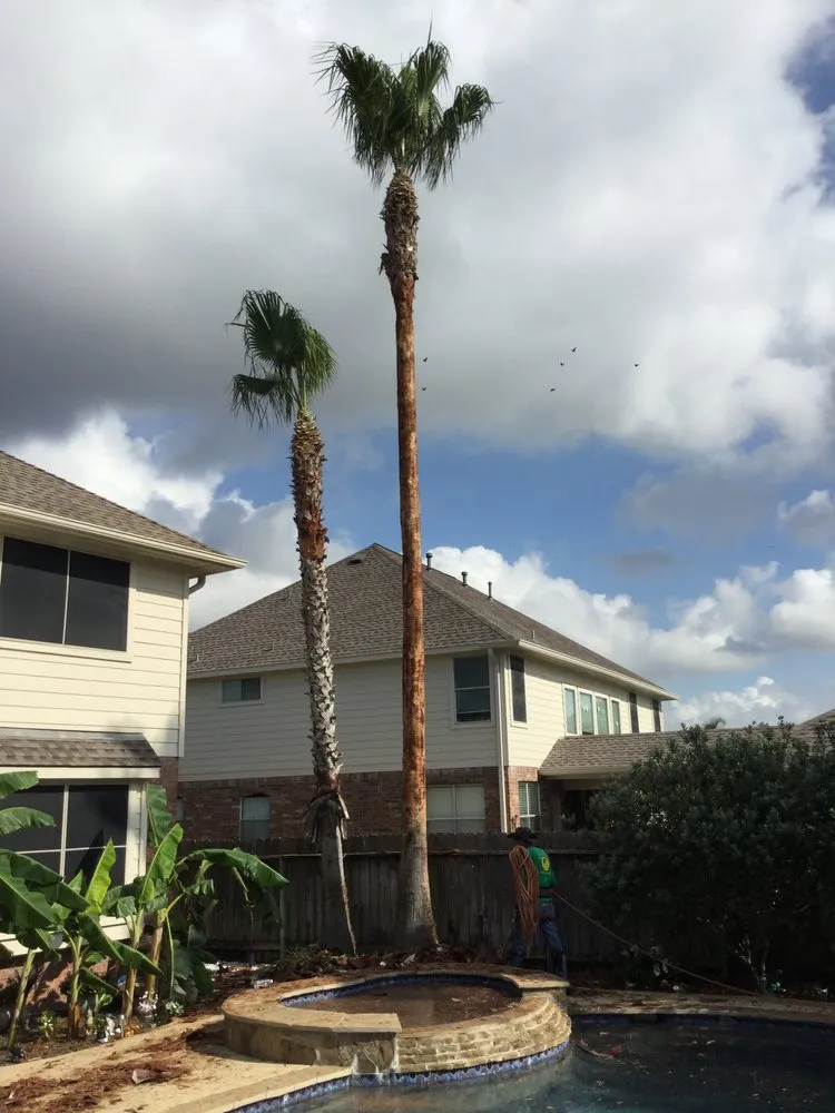 Affordable outdoor landscaping with custom design in Katy, TX by Green Leaf Tree Services