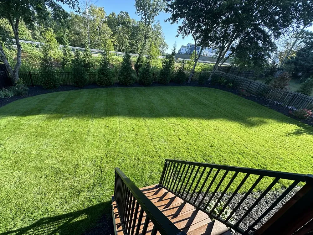 Top-rated garden landscaping experts serving Raleigh, NC - Green Leafs NC