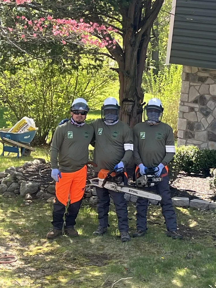 Trusted lawn mowing service for beautiful yards across Valley Cottage, NY - Green Leaves Tree Service