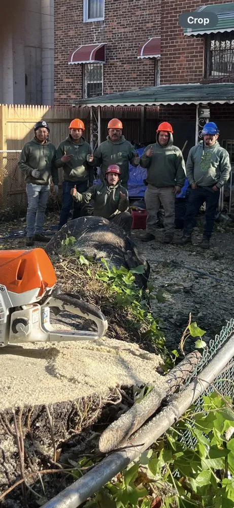 Local yard maintenance experts serving Valley Cottage, NY - Green Leaves Tree Service