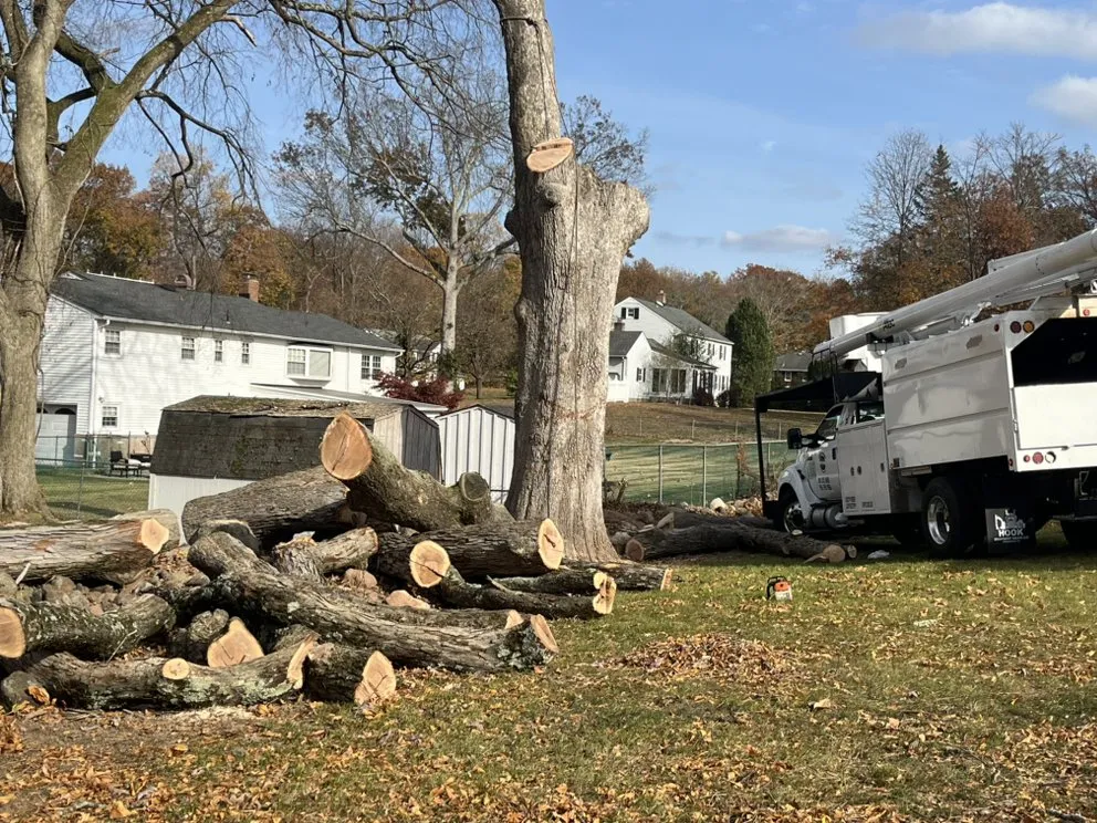 Custom yard cleanup service in Valley Cottage, NY - Green Leaves Tree Service