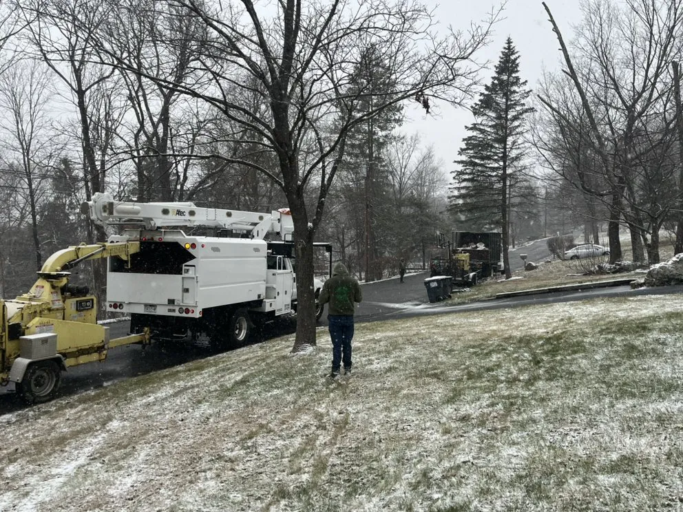 Reliable residential landscaping in Valley Cottage, NY - Green Leaves Tree Service