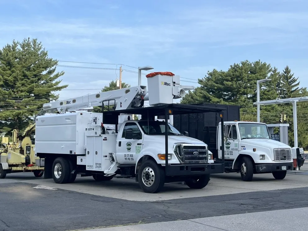 Reliable yard maintenance experts serving Valley Cottage, NY - Green Leaves Tree Service