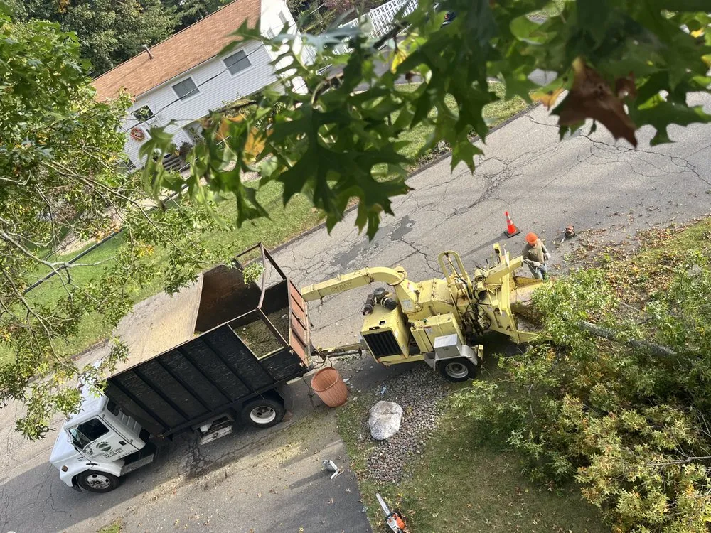 Trusted yard cleanup service experts serving Valley Cottage, NY - Green Leaves Tree Service