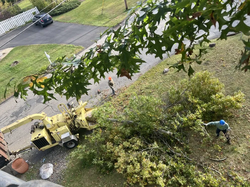 Local lawn care service in Valley Cottage, NY by Green Leaves Tree Service