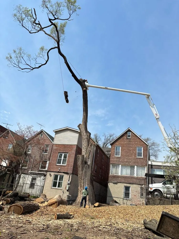 Reliable outdoor landscaping in Valley Cottage, NY by Green Leaves Tree Service