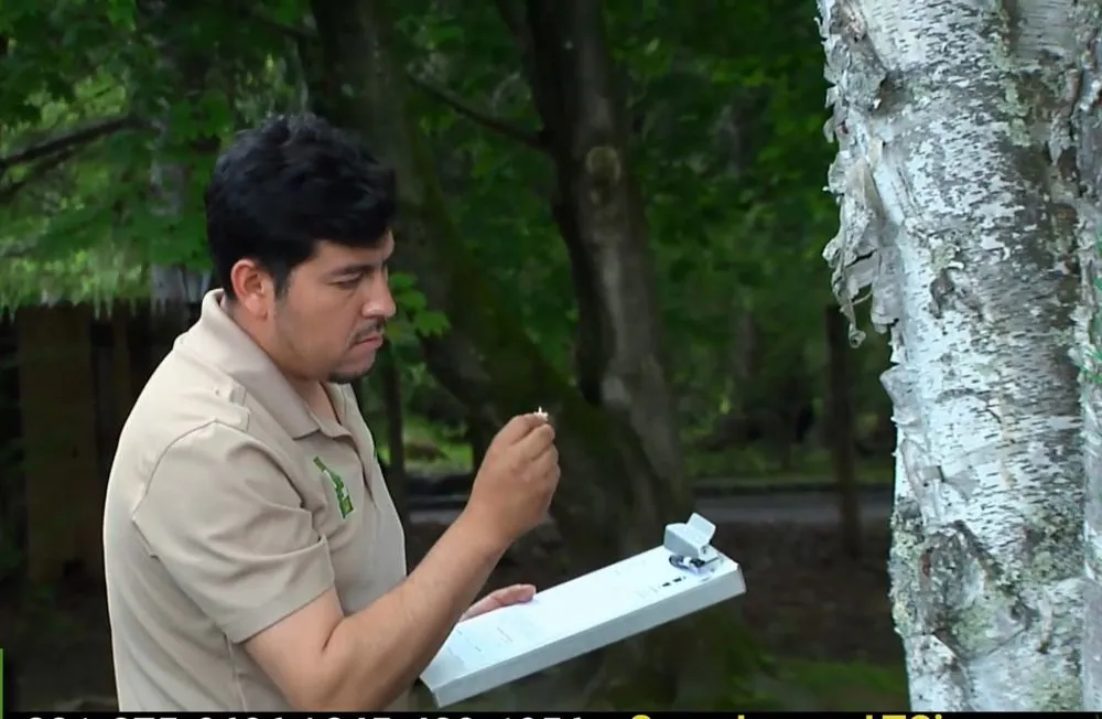 Professional lawn care service in Valley Cottage, NY by Green Leaves Tree Service