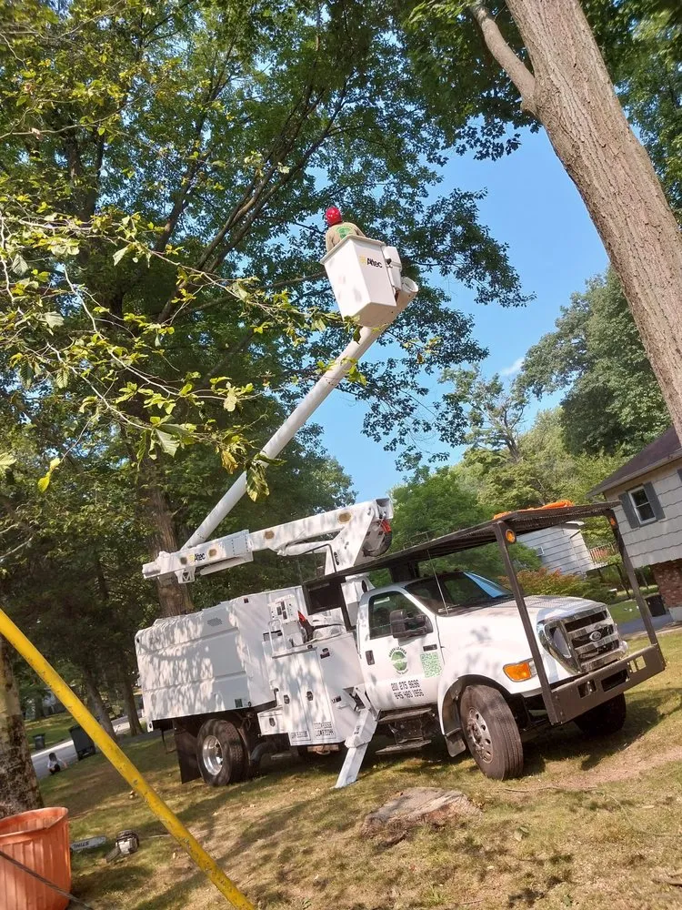 Top-rated yard maintenance in Valley Cottage, NY by Green Leaves Tree Service