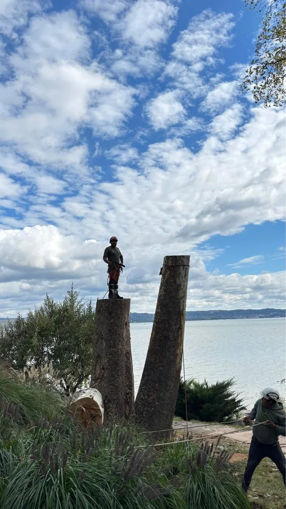 Custom yard cleanup service for residential properties in Valley Cottage, NY by Green Leaves Tree Service