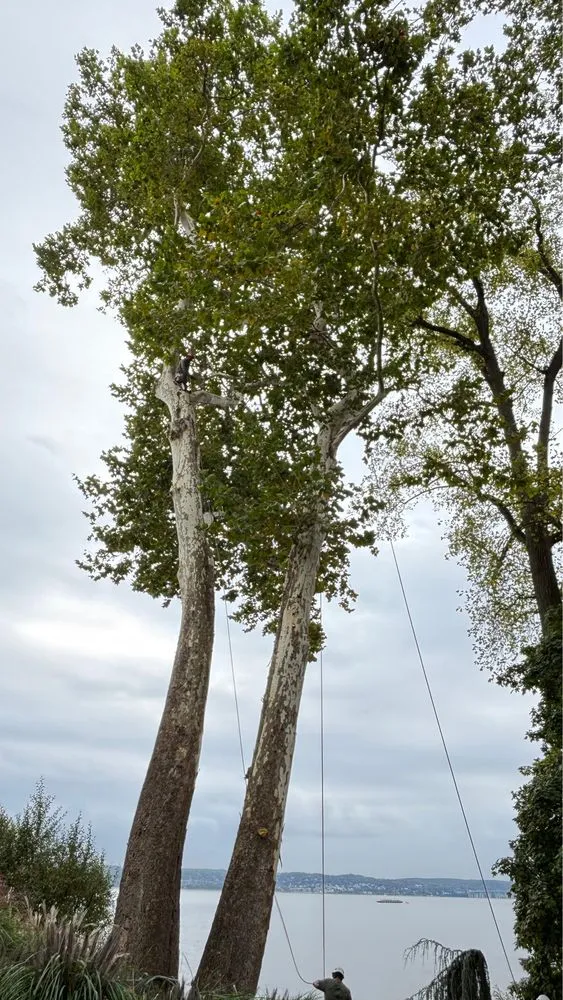 Custom lawn care service for outdoor upgrades in Valley Cottage, NY by Green Leaves Tree Service