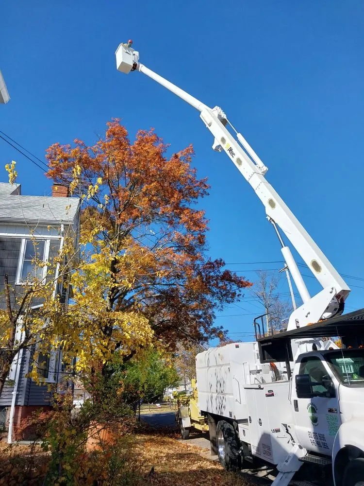 Expert garden landscaping for homes in Valley Cottage, NY by Green Leaves Tree Service