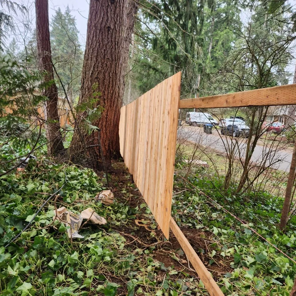 Reliable landscape design for residential properties across Shelton, WA - Green Leaves Trees Services and Landscaping