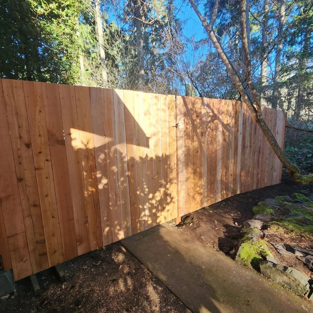 Expert landscape installation in Shelton, WA - Green Leaves Trees Services and Landscaping