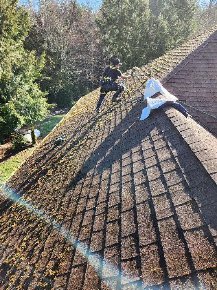 Custom landscape design experts serving Shelton, WA - Green Leaves Trees Services and Landscaping