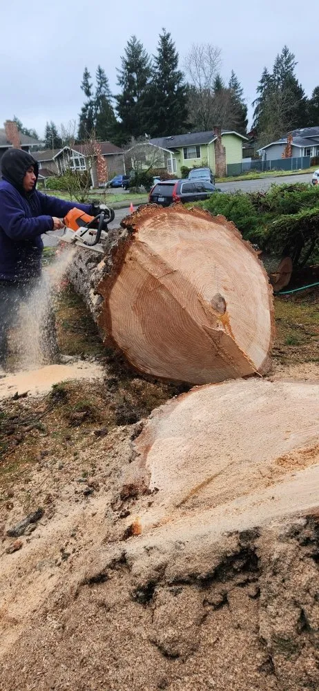 Trusted landscaping services for outdoor upgrades in Shelton, WA by Green Leaves Trees Services and Landscaping