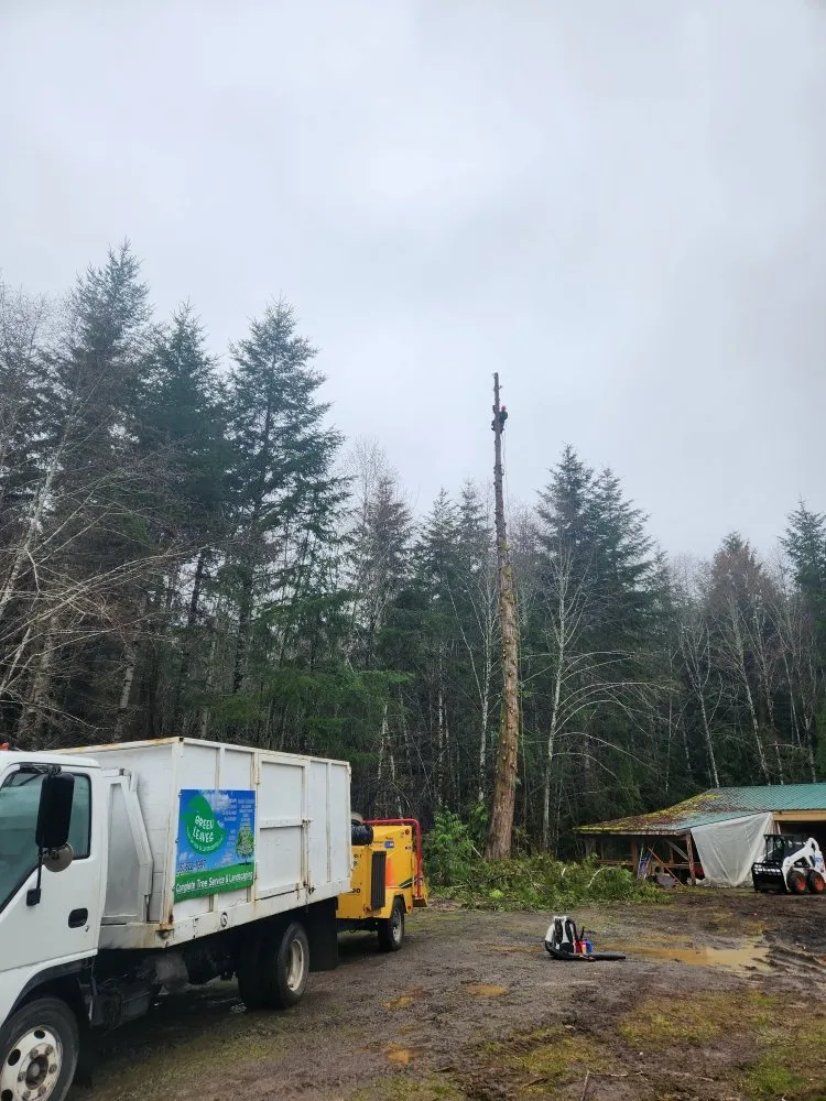 Reliable residential landscaping for residential properties in Shelton, WA by Green Leaves Trees Services and Landscaping