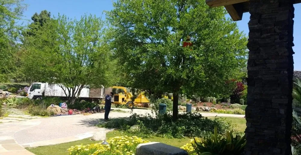 Top-rated residential landscaping for beautiful yards across Shelton, WA - Green Leaves Trees Services and Landscaping