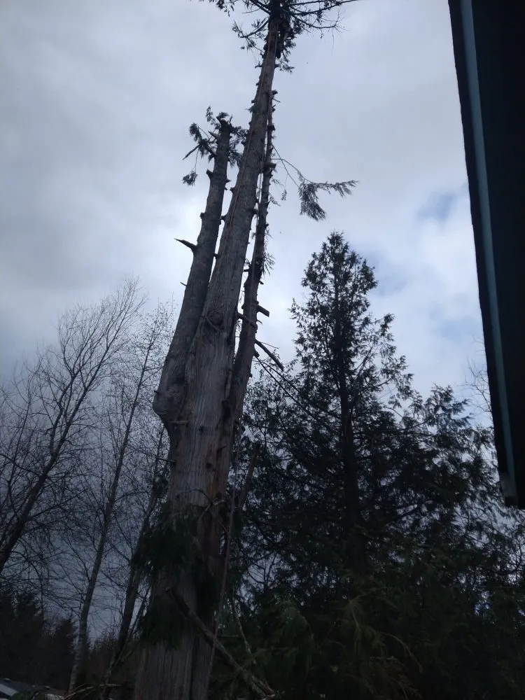 Professional garden landscaping in Shelton, WA by Green Leaves Trees Services and Landscaping