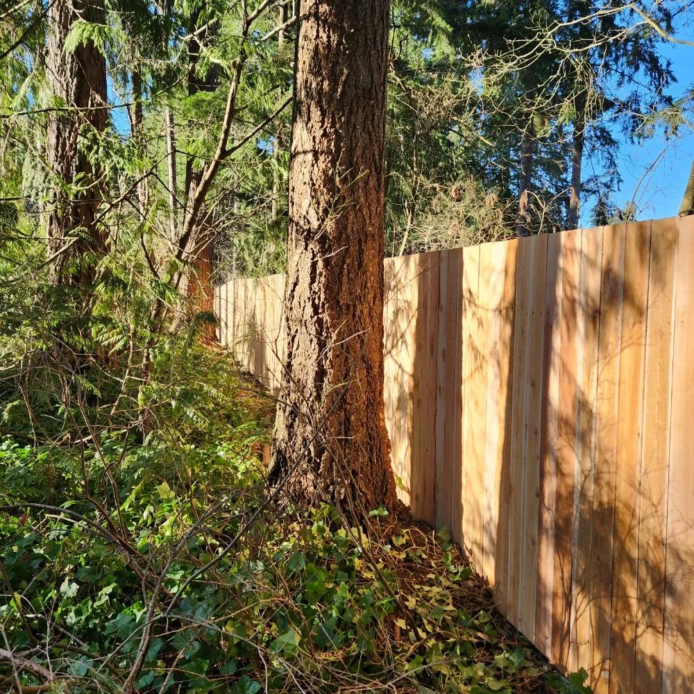 Affordable yard cleanup service in Shelton, WA by Green Leaves Trees Services and Landscaping